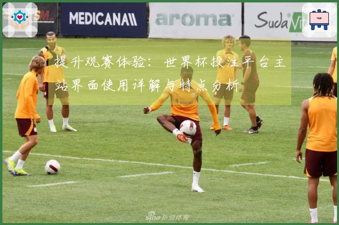 提升观赛体验：世界杯投注平台主站界面使用详解与特点分析