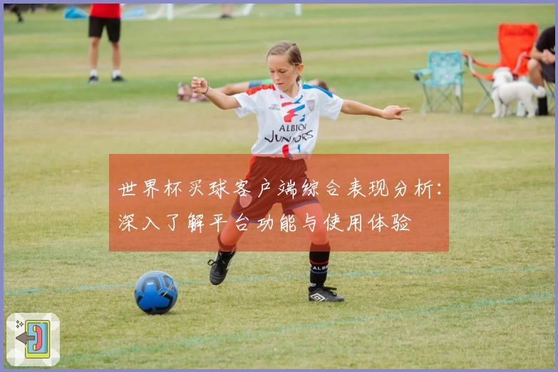 世界杯买球客户端综合表现分析：深入了解平台功能与使用体验
