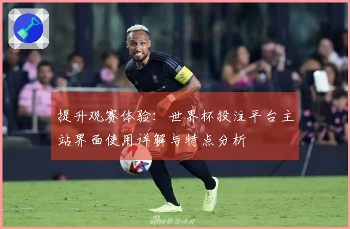 提升观赛体验：世界杯投注平台主站界面使用详解与特点分析