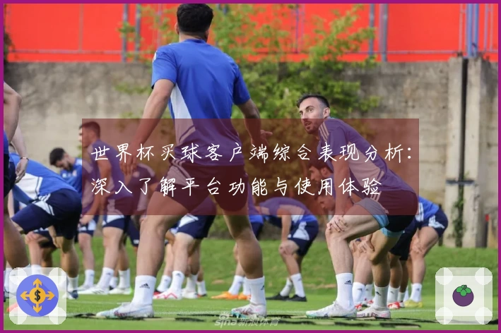 世界杯买球客户端综合表现分析：深入了解平台功能与使用体验