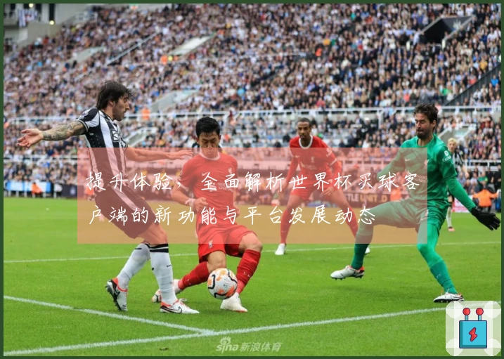 提升体验，全面解析世界杯买球客户端的新功能与平台发展动态